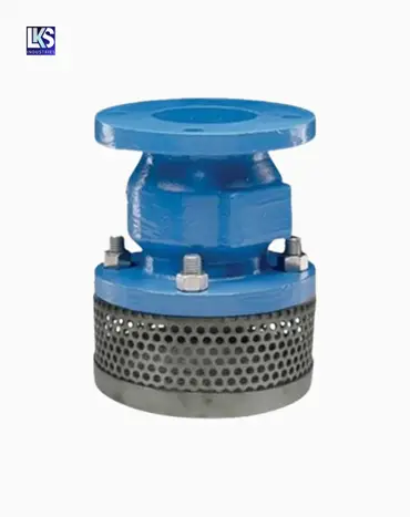 Blue Cast Iron Foot Valve